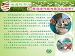 白内障展板