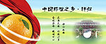 秭归脐橙Banner
