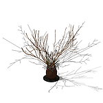 SketchUp家居饰品假花