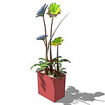 SketchUp家居饰品假花