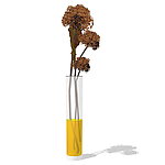 SketchUp家居饰品假花