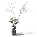 SketchUp家居饰品假花