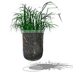 SketchUp家居饰品假花