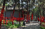 平安树