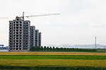 新村的收获