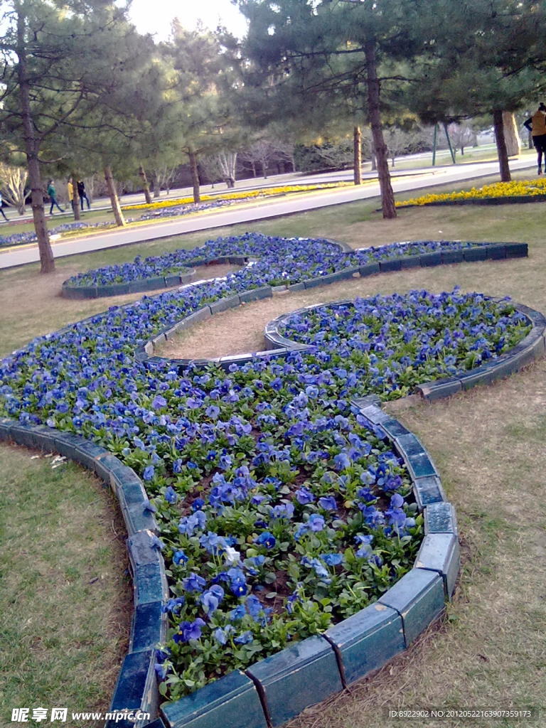 花池