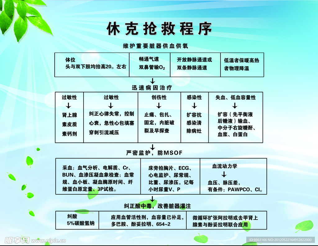 休克抢救程序流程