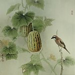 瓜园伯劳