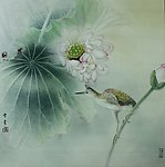 晨鹭
