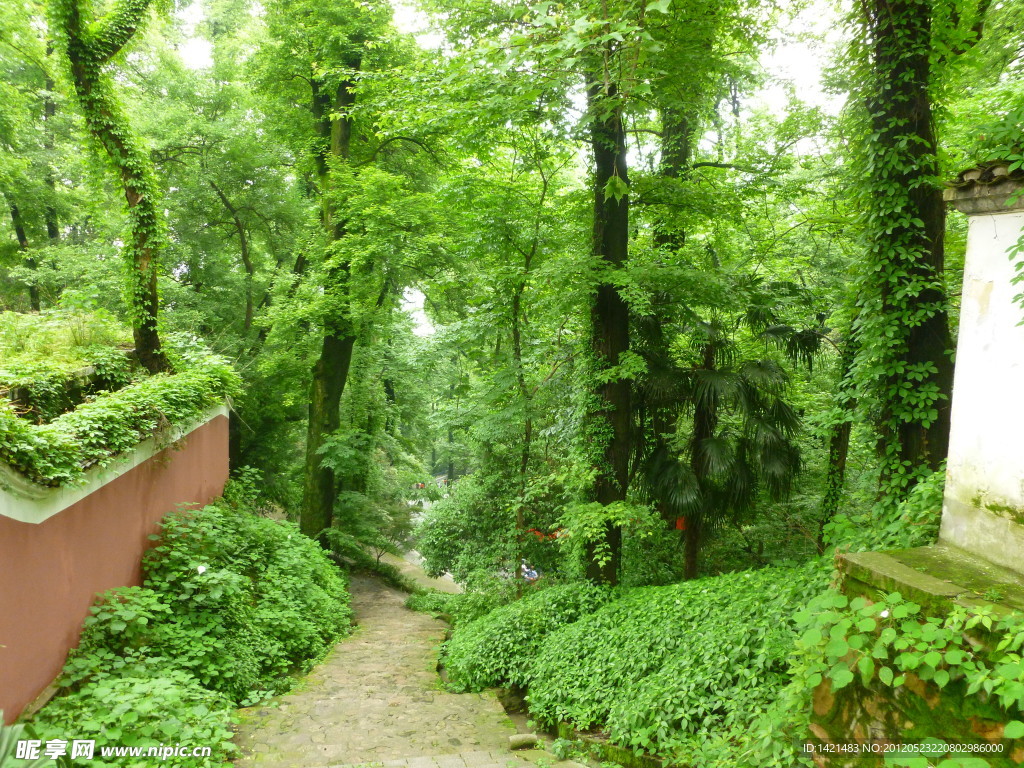 岳麓山