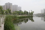 水边