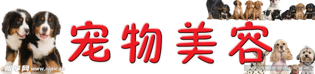 宠物美容