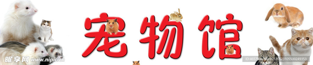 宠物
