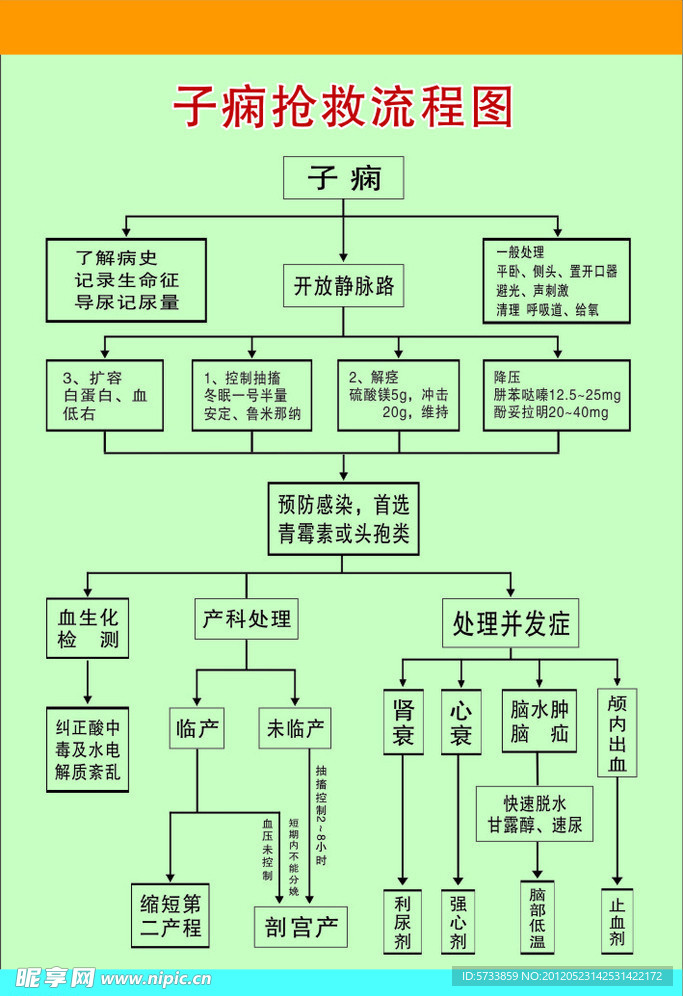 子痫抢救流程图