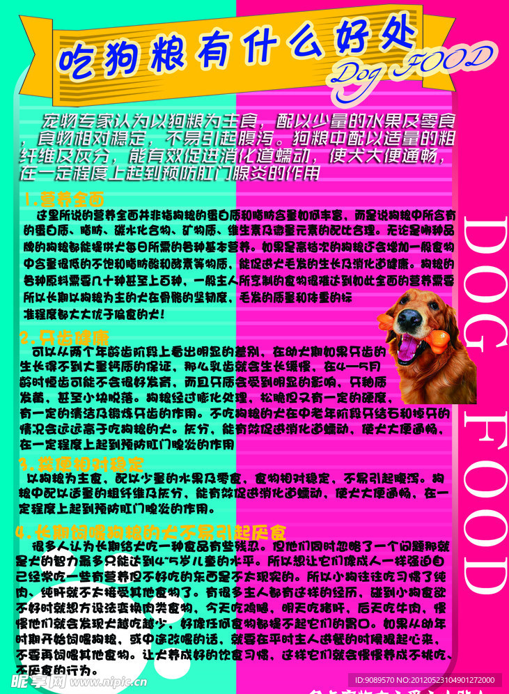 宠物店宣传海报