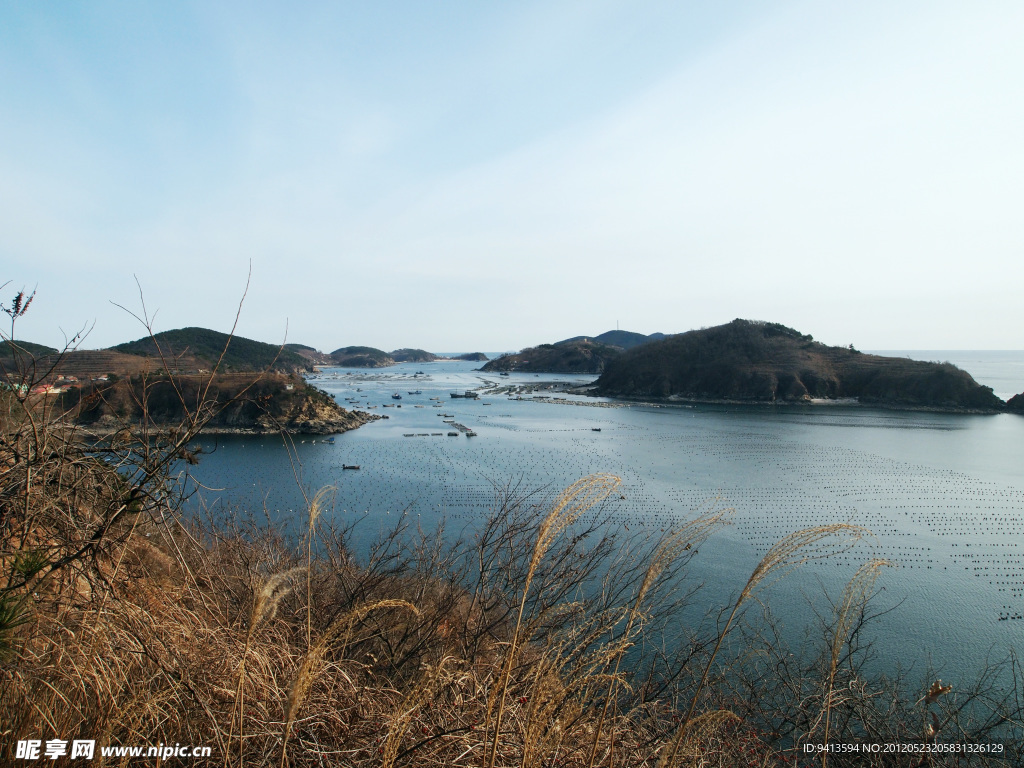 海岛