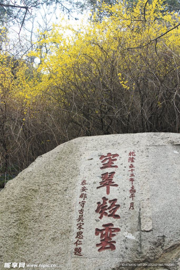 石林山花