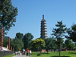 公园风景
