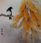 玉米