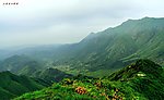 上犹草山