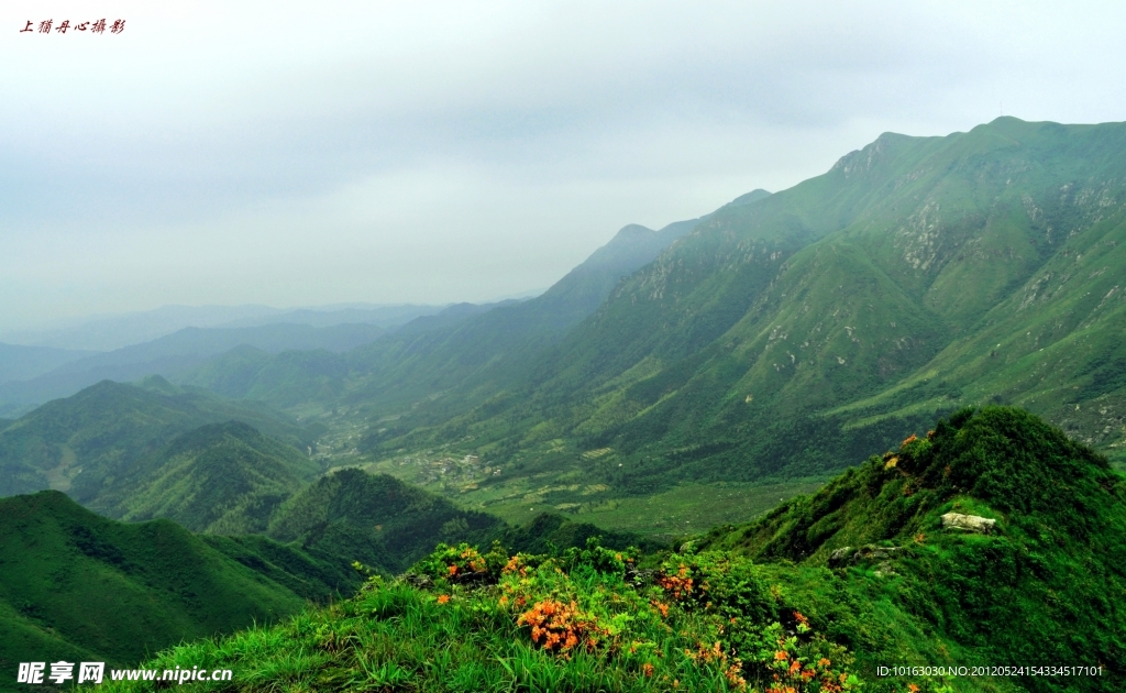 上犹草山