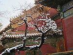 故宫雪景
