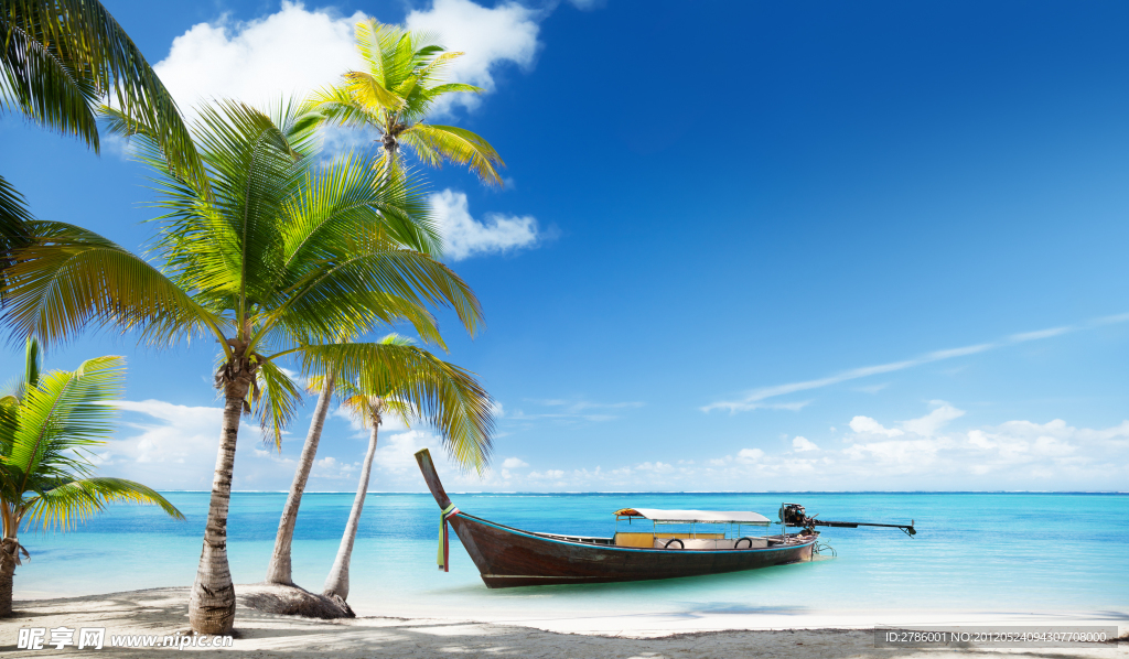 海洋沙滩椰子树游船