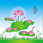 荷花