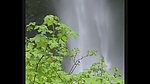 山泉溪水瀑布
