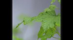 山泉溪水瀑布