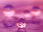 水珠特写