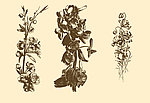 植物装饰画
