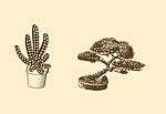 植物装饰画