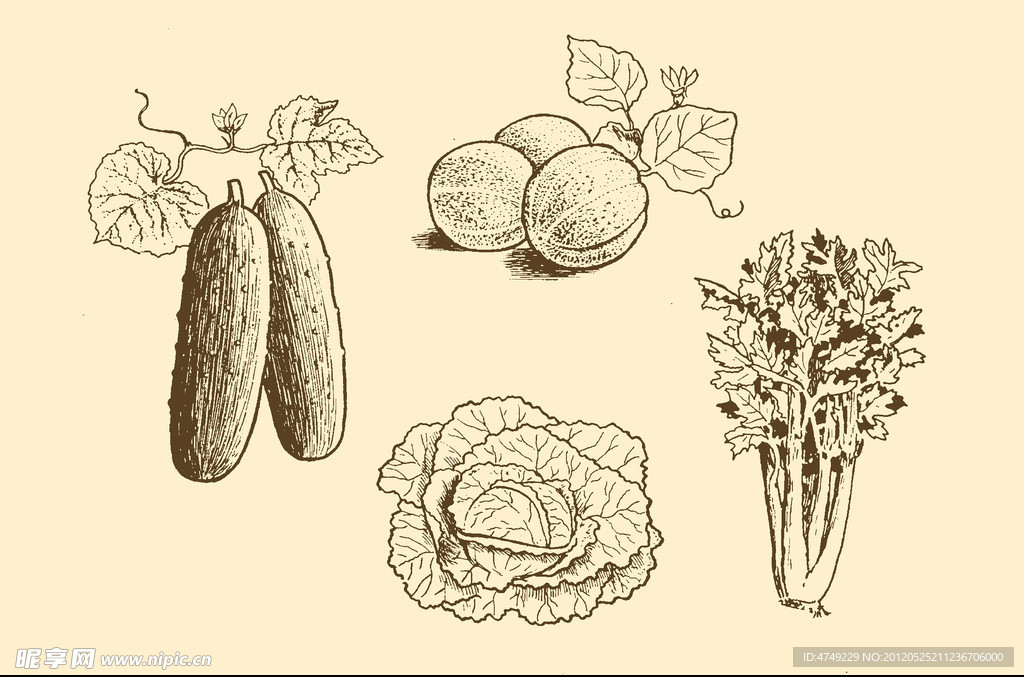 植物装饰画