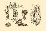 植物装饰画
