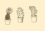 植物装饰画