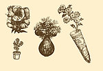 植物装饰画