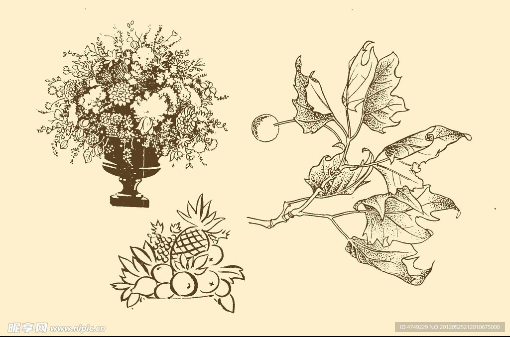 植物装饰画