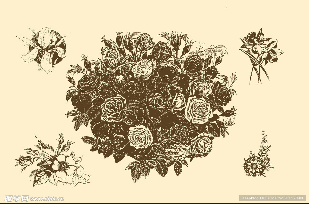 植物装饰画