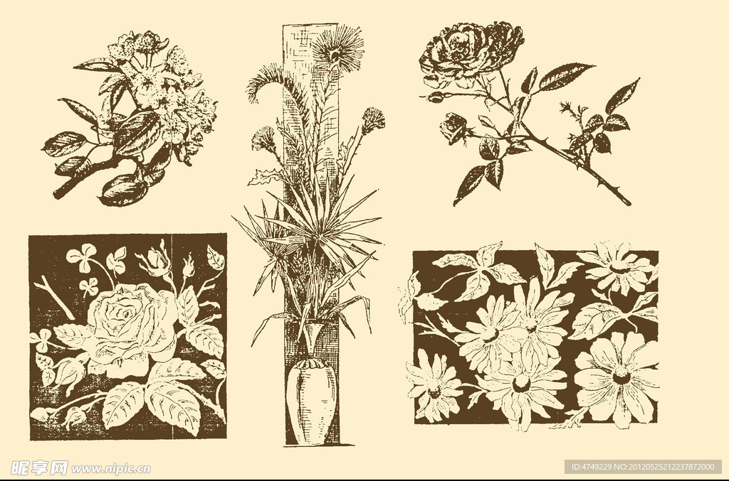 植物装饰画