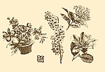 植物装饰画