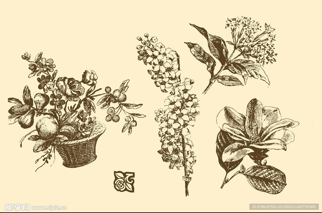 植物装饰画