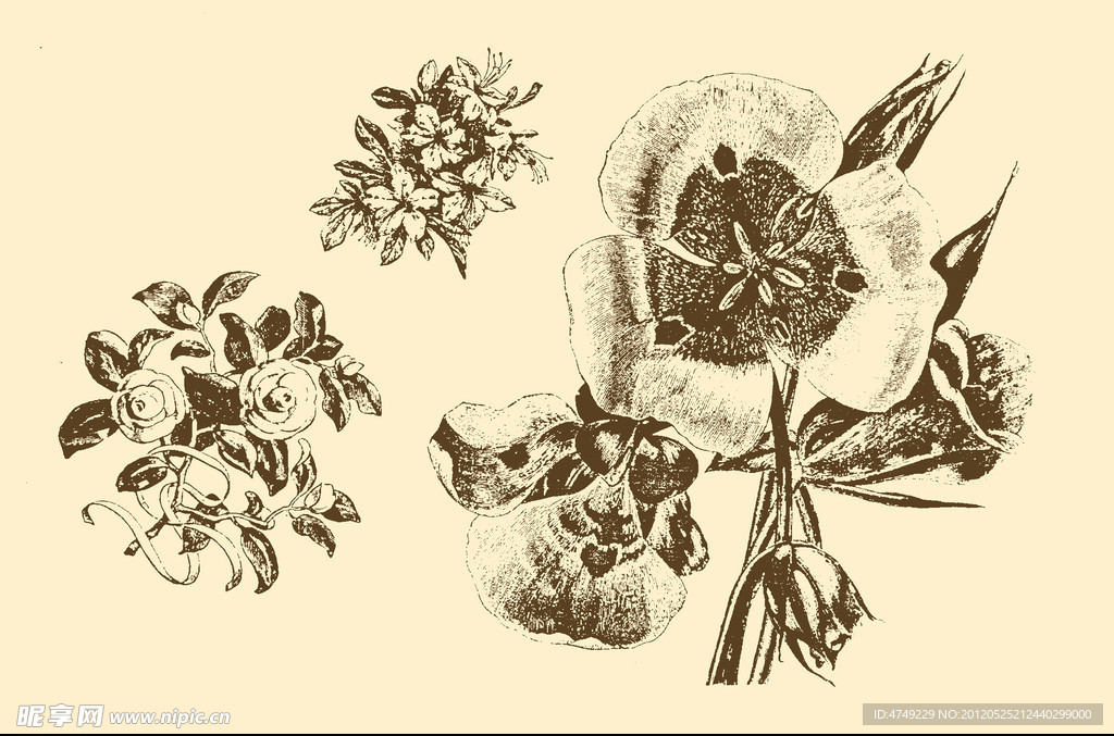 植物装饰画