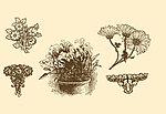 植物装饰画
