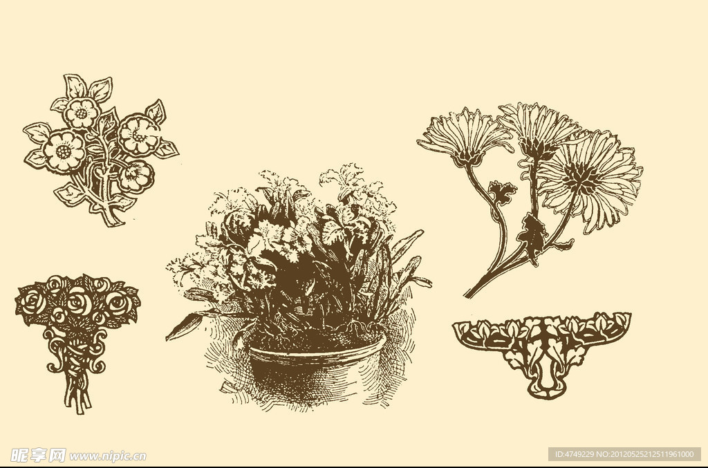 植物装饰画