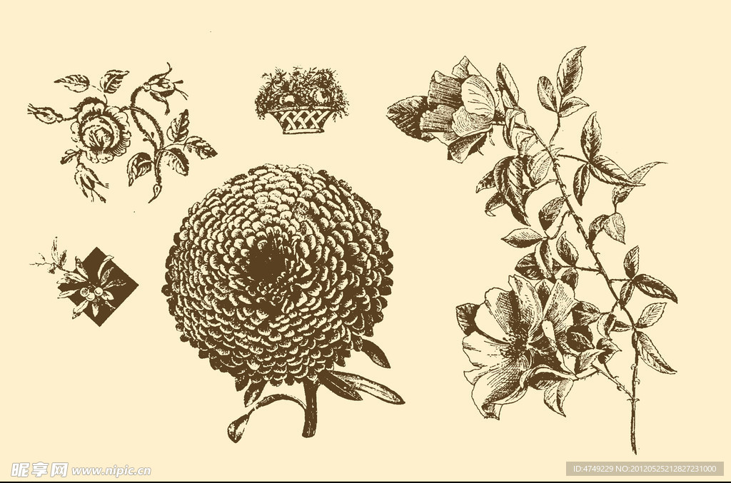 植物装饰画