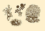 植物装饰画