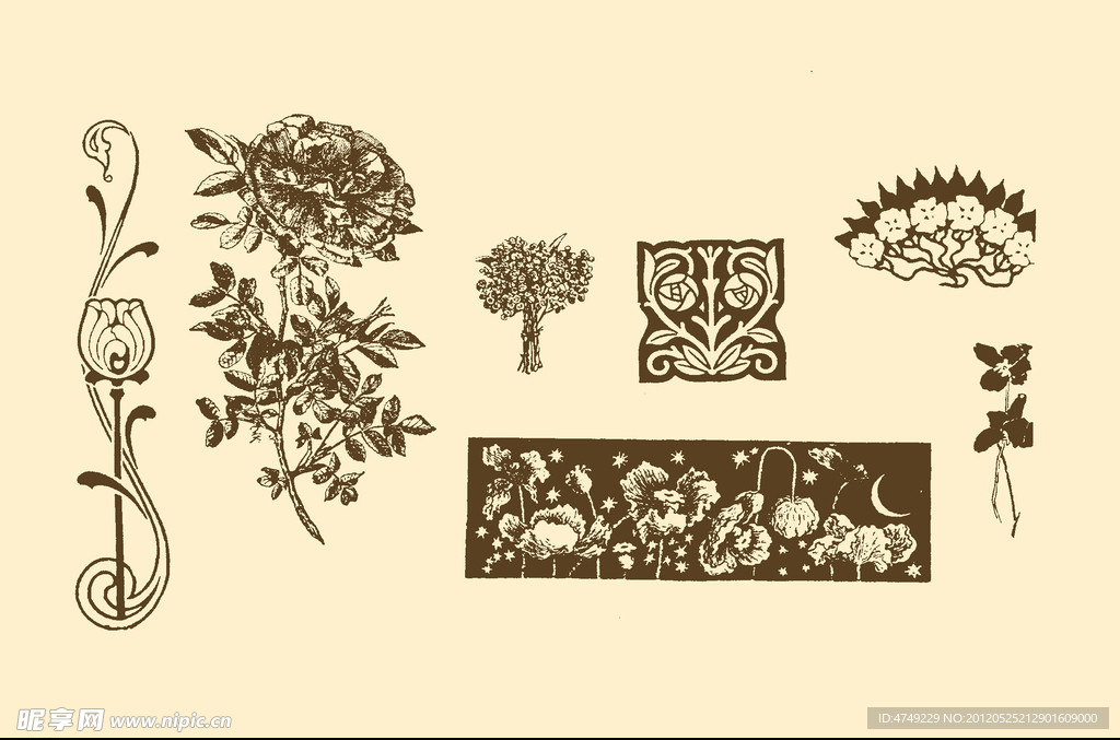植物装饰画