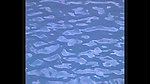 水波