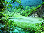 山水 九寨沟